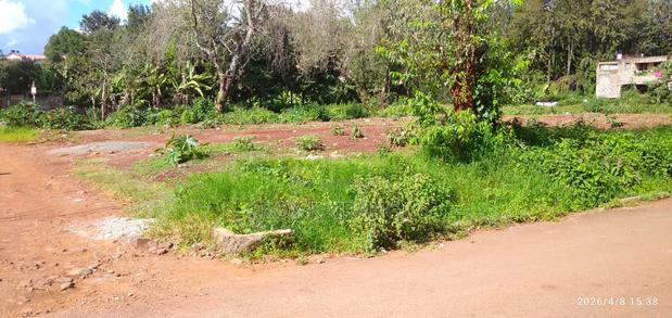 Prime Land for Sale (1/4 Acre)