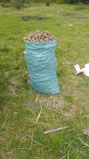Potato Seeds