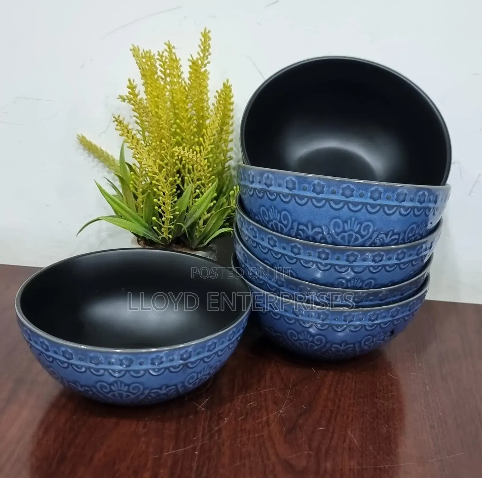 Dinner Plates -6pcs