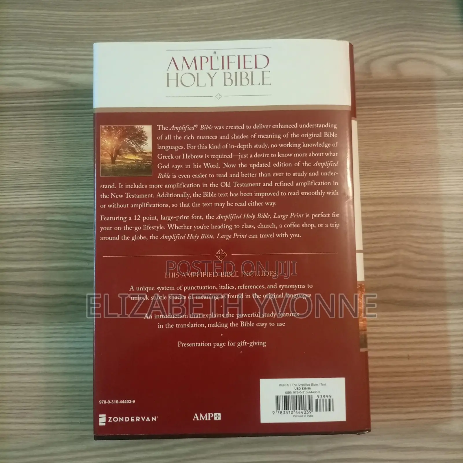 Bible. Large Print. Amplified Version.