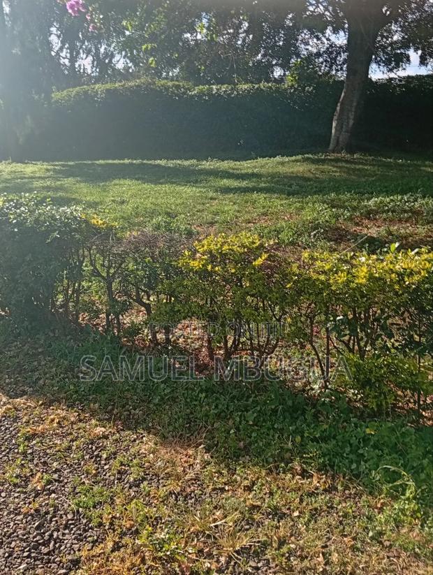 2bdrm House in Karen for rent - main view