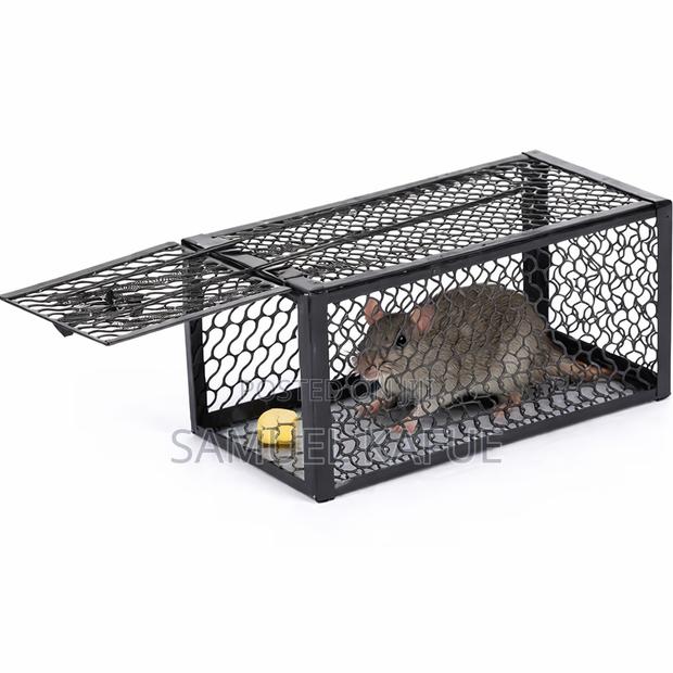 Best Single Catch Rat Traps/Rat Cage - thumbnail 2