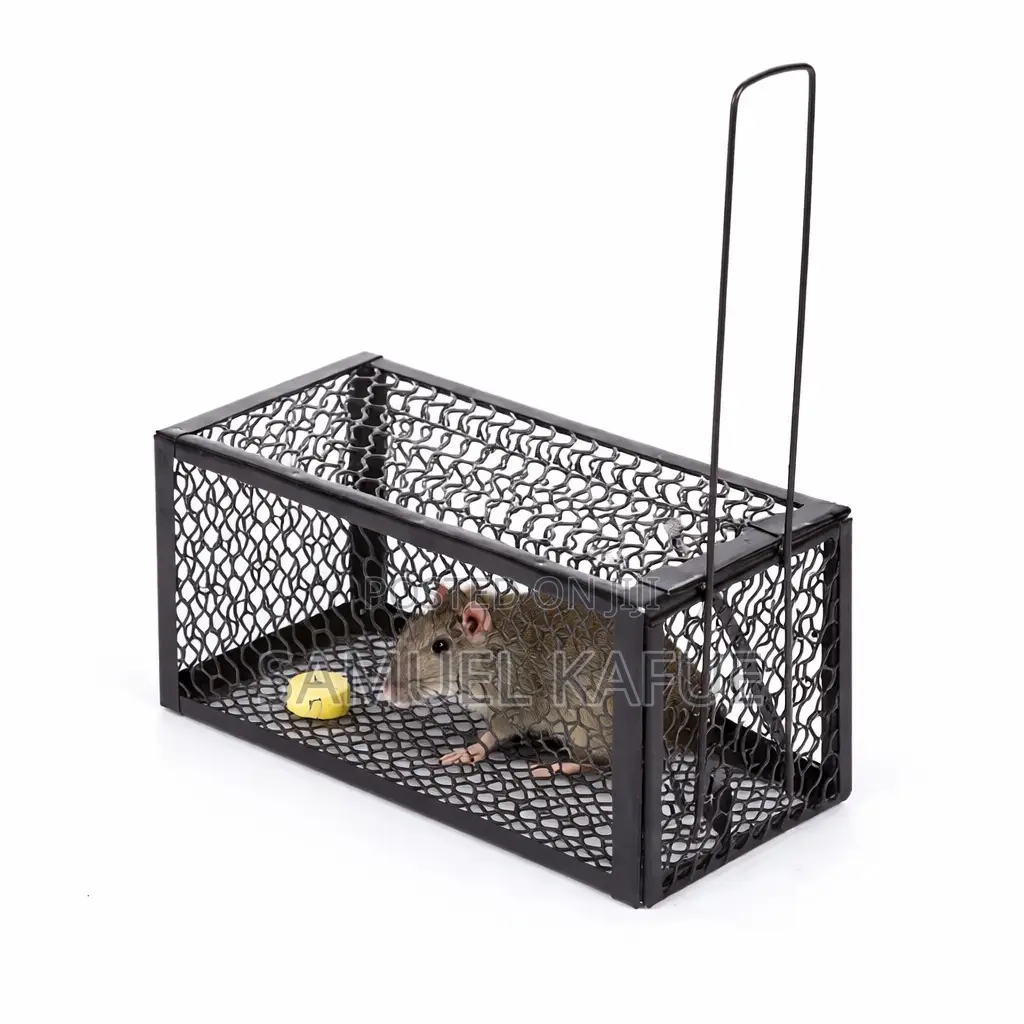 Best Single Catch Rat Traps/Rat Cage