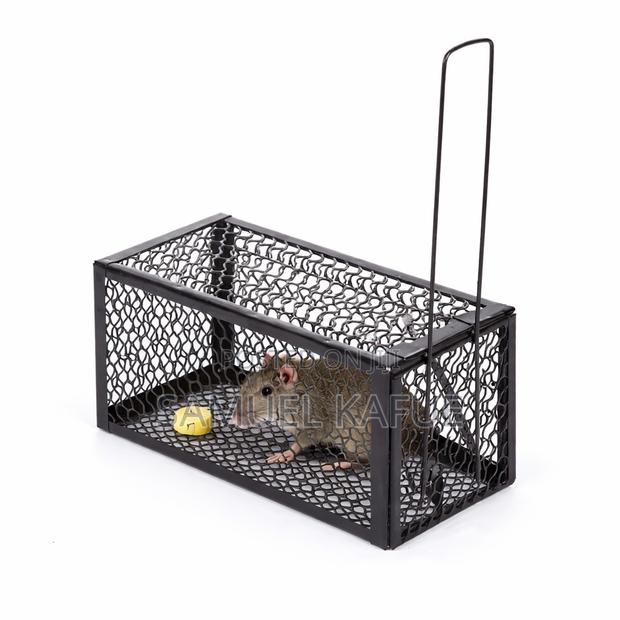Best Single Catch Rat Traps/Rat Cage - thumbnail 3