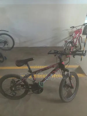 Dinos Red Bicycle
