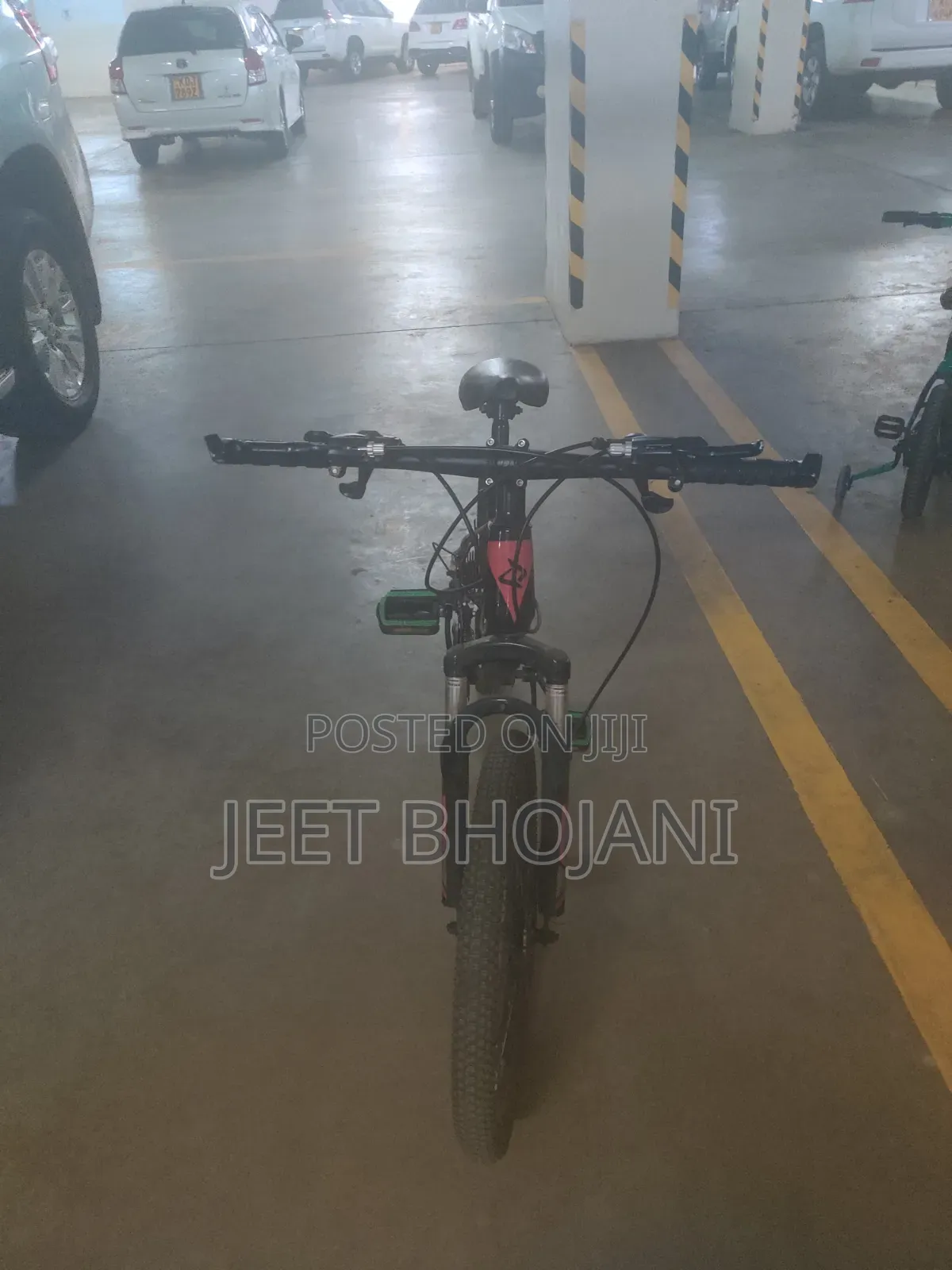 Dinos Red Bicycle