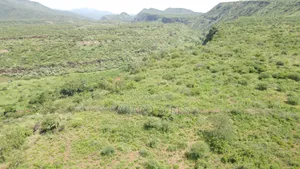 78 Acres Najile at Per Acre