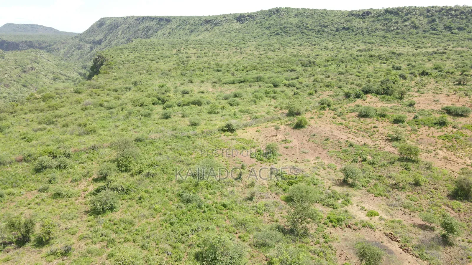 78 Acres Najile at Per Acre