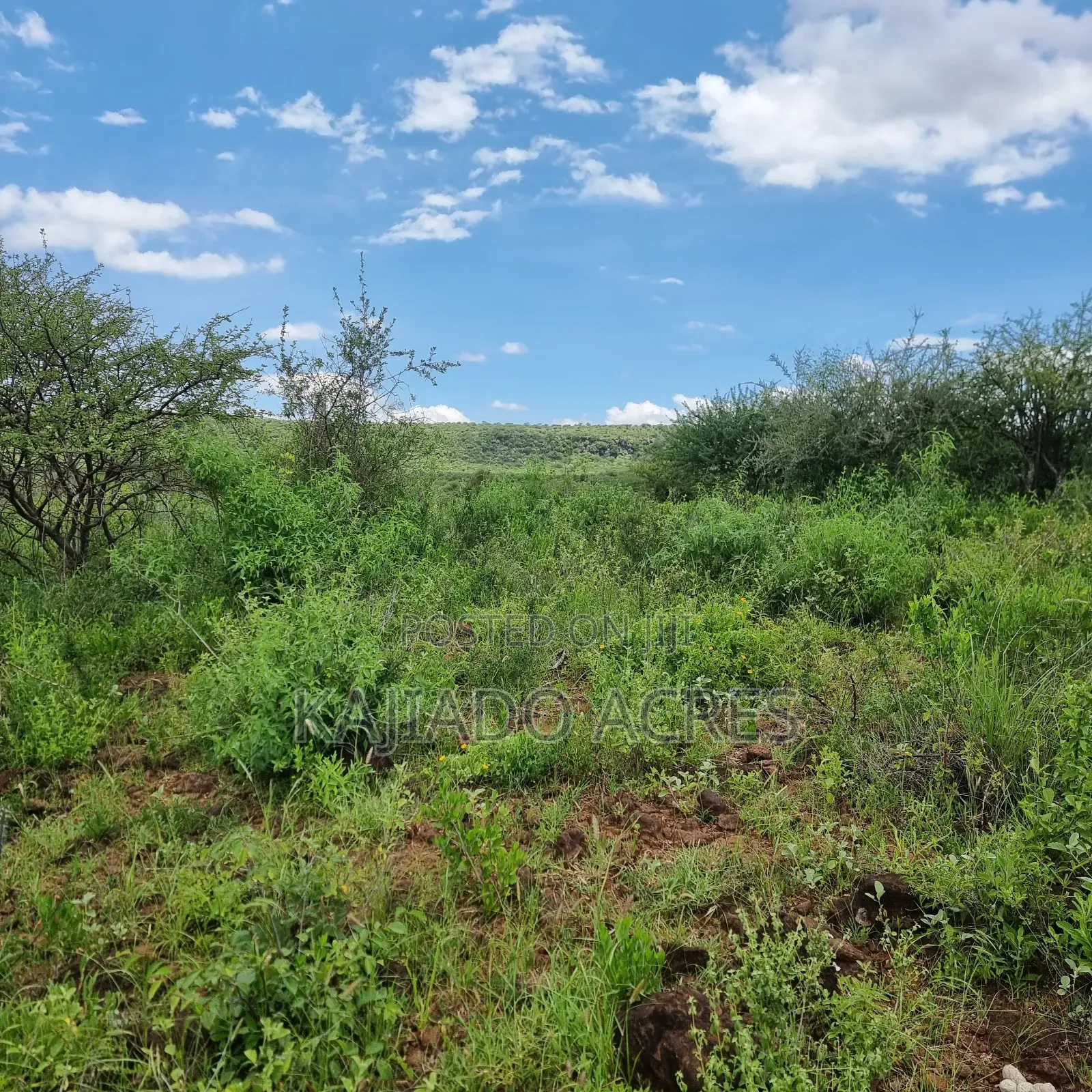 78 Acres Najile at Per Acre