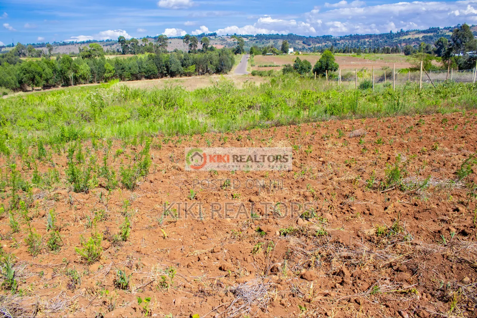 Kikuyu Plots For