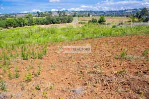 Kikuyu Plots For