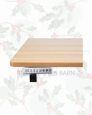 Transform Productivity Through Standing Desk Smooth Electric Lift