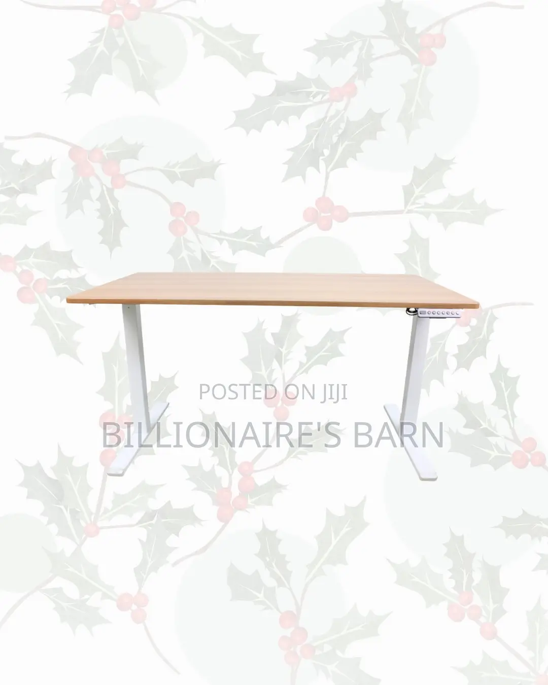 Transform Productivity Through 1600x800mm Standing Desk Electric Lift
