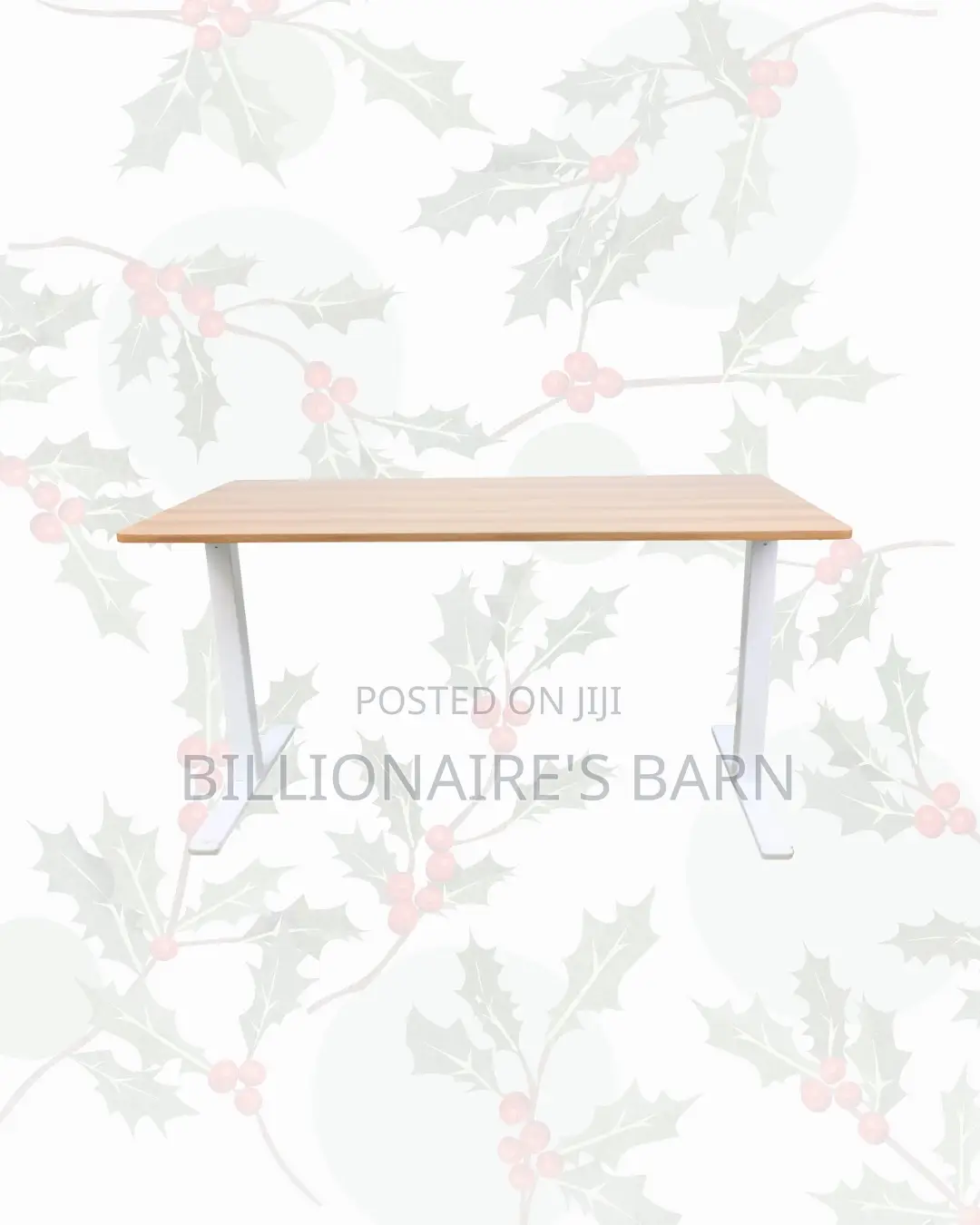 Transform Productivity Through 1600x800mm Standing Desk Electric Lift