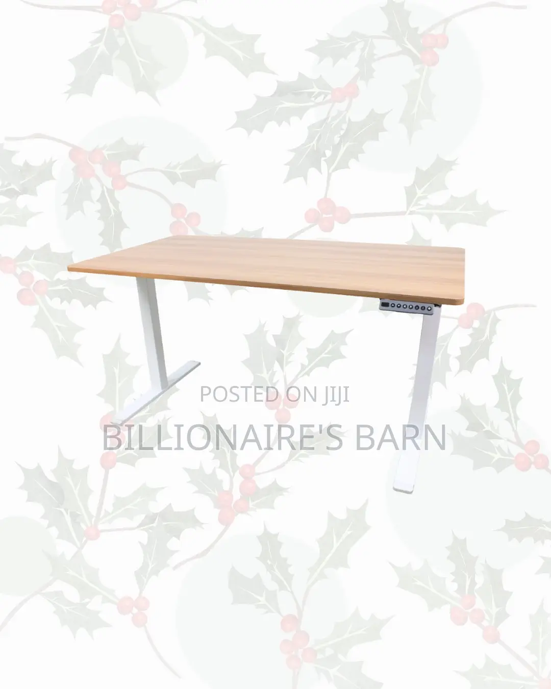 Transform Productivity Through 1600x800mm Standing Desk Electric Lift