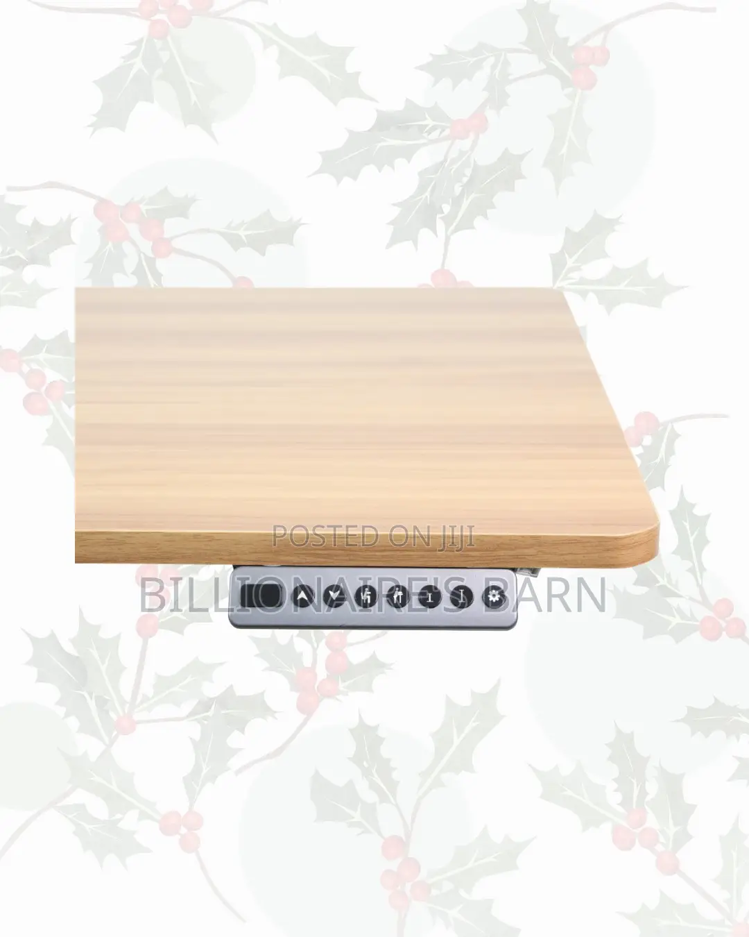 Transform Productivity Through 1600x800mm Standing Desk Electric Lift