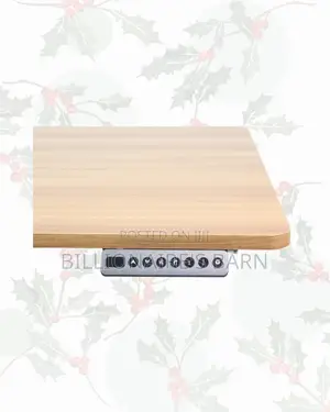 Transform Productivity Through 1600x800mm Standing Desk Electric Lift