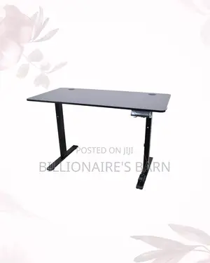 Refine Posture With 1200x600mm Standing Desk Smooth Electric Lift