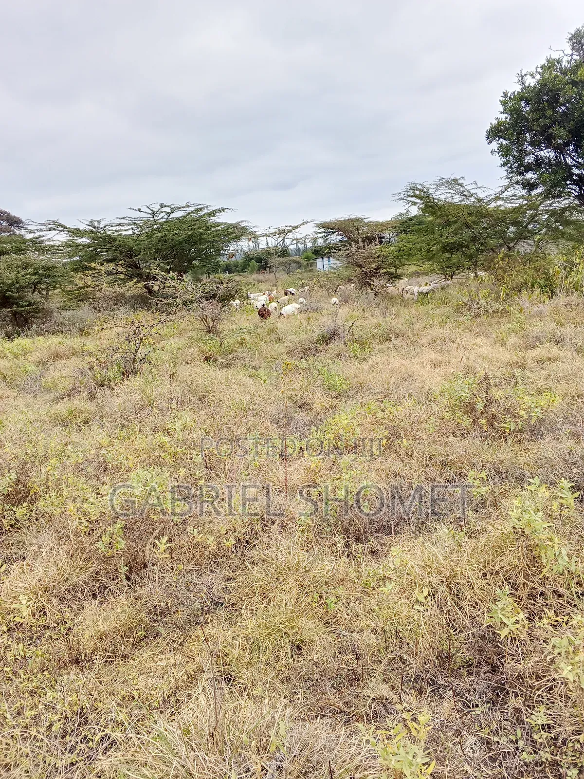 Land for Sell