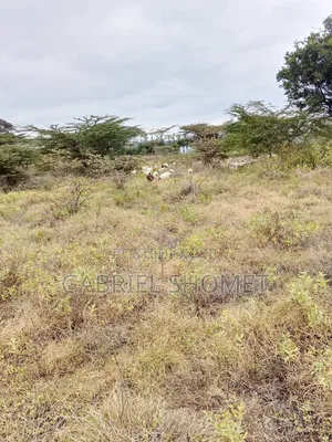 Land for Sell