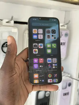 Apple iPhone 13 Pro Max 256 GB
