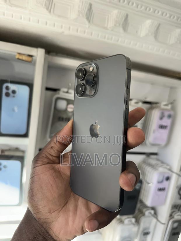 Apple iPhone 13 Pro Max 256 GB - thumbnail 11