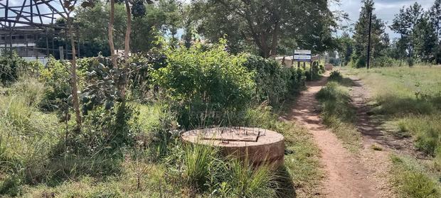 Kenol Prime Plot