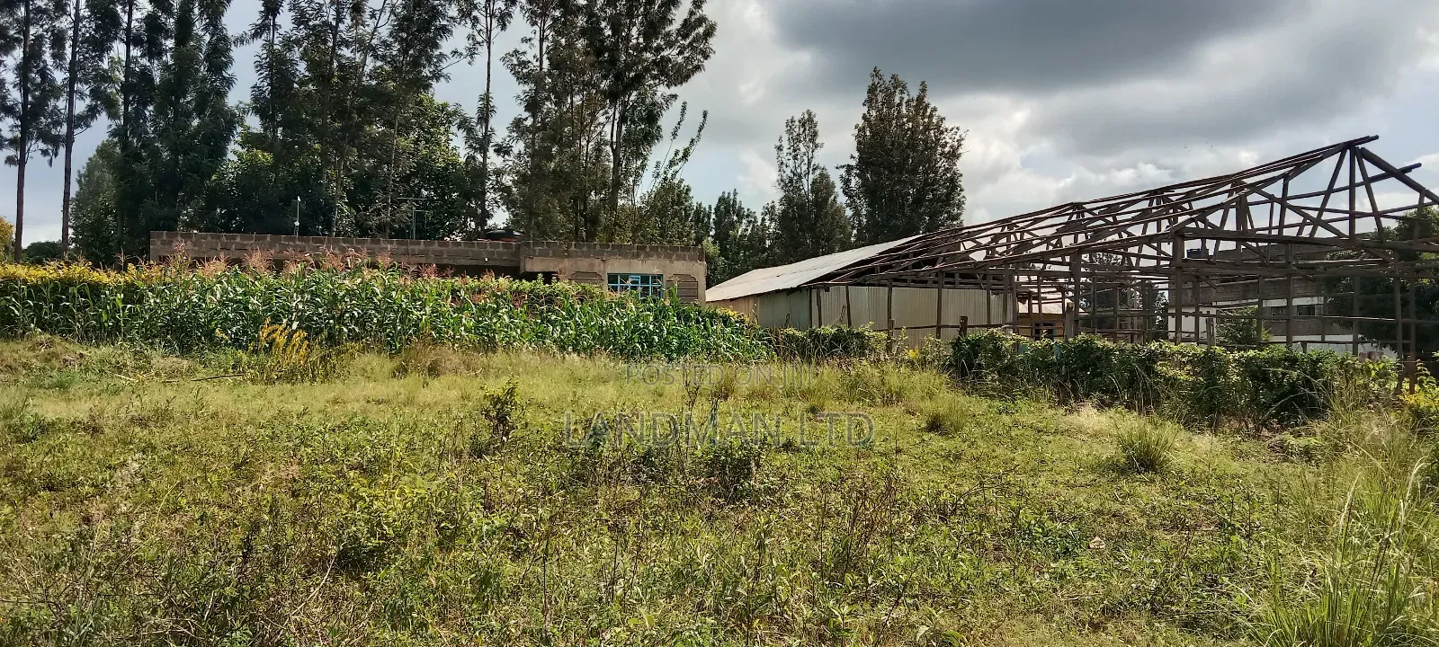 Kenol Prime Plot