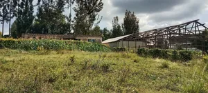 Kenol Prime Plot