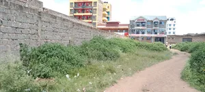 Thika Kisii Estate