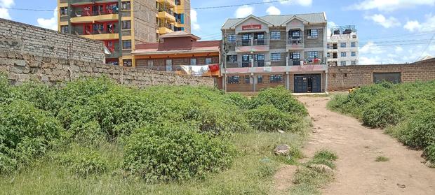 Thika Kisii Estate - thumbnail 7