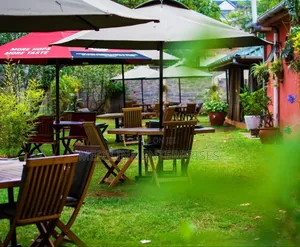 Branded Canva Umbrella+4 Mahogany Foldable Chairs +Table