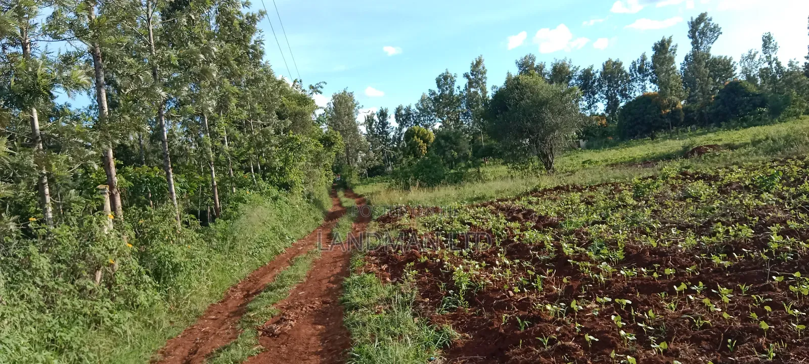 Muranga Loc 20