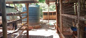 Prime 1 Acre Agricultural Land in Maragua