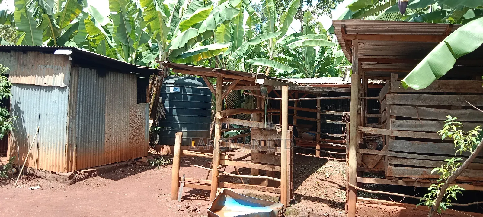 Prime 1 Acre Agricultural Land in Maragua