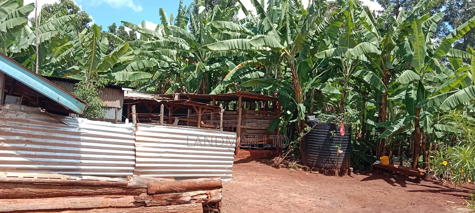 Prime 1 Acre Agricultural Land in Maragua