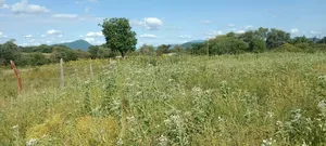 Kajiando Ranch