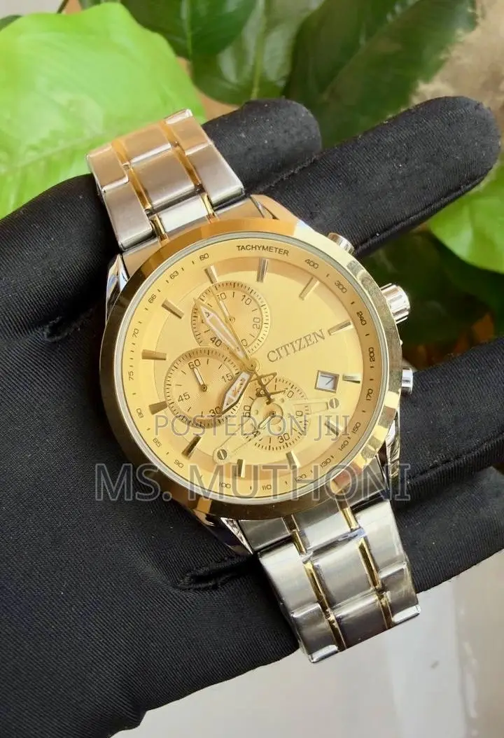 Classic Tachymeter Bezel Citizen Chronograph Gents Wristwatch