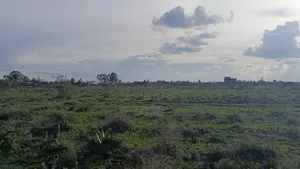 Land for Sale in Kamulu