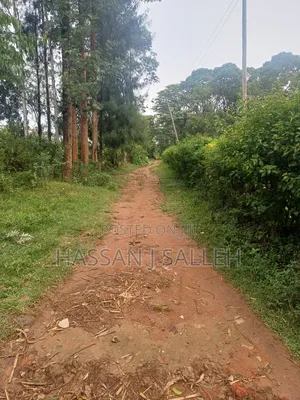 3 Plots 4 Sale St Peters Mumias