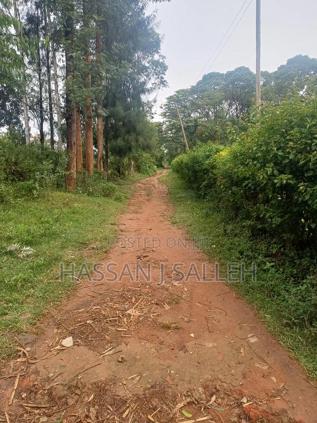 3 Plots 4 Sale St Peters Mumias