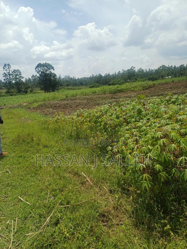 1/2acre Land Matungu - thumbnail 5