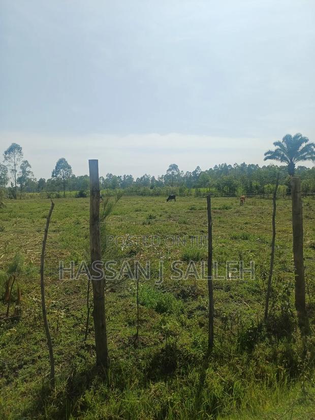 1 Acre Lureko Mumias. - thumbnail 2