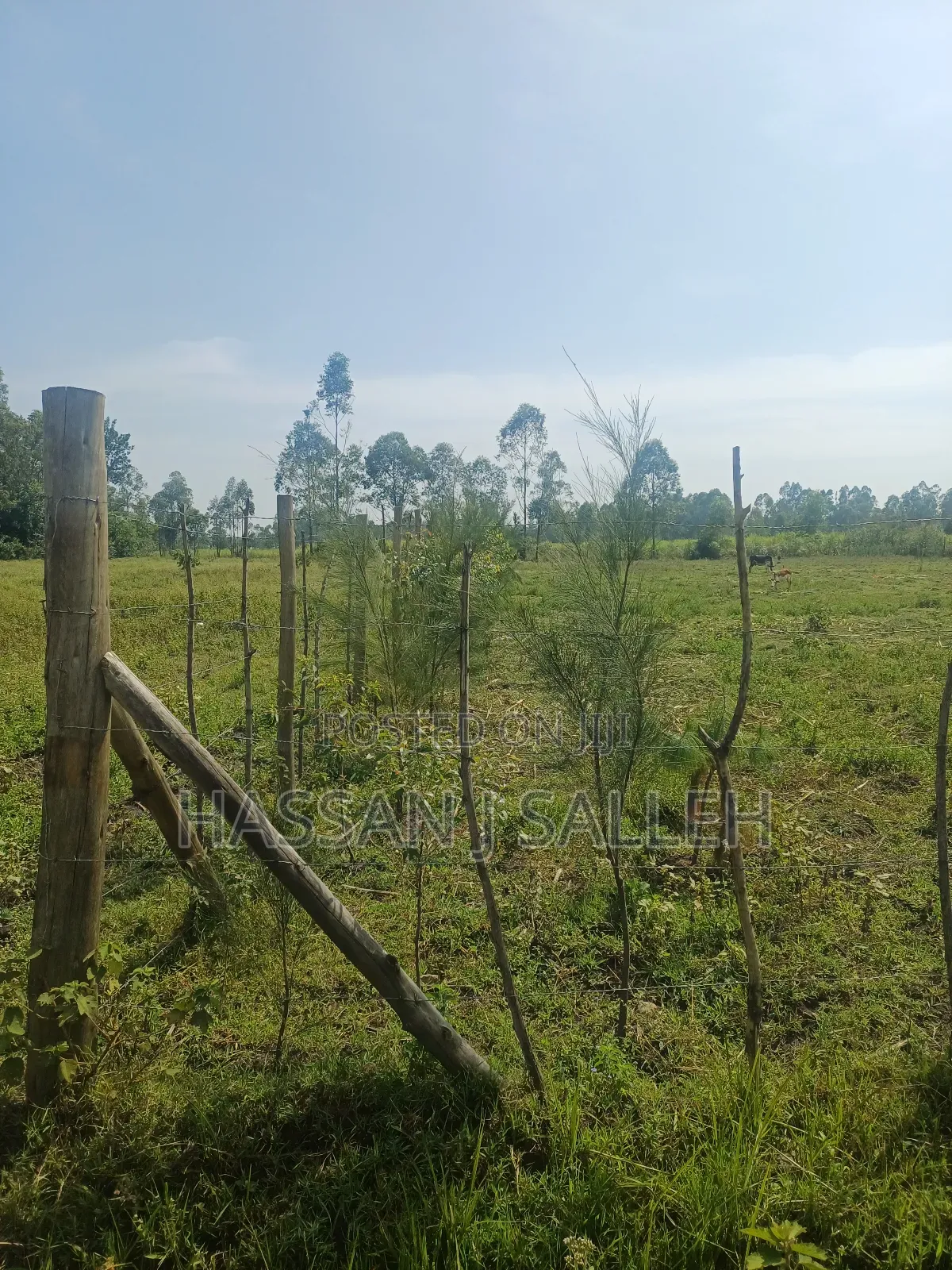1 Acre Lureko Mumias.