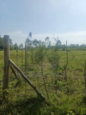 1 Acre Lureko Mumias.