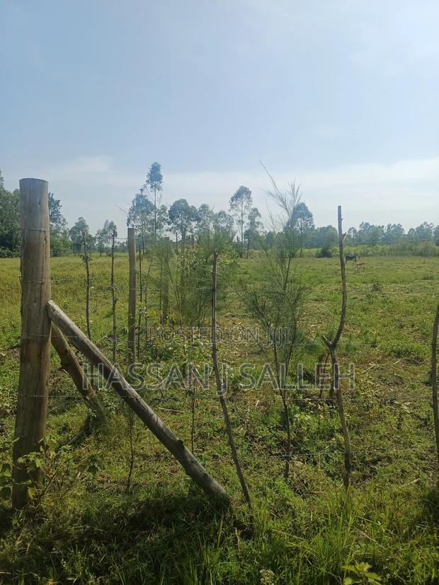 1 Acre Lureko Mumias. - thumbnail 3