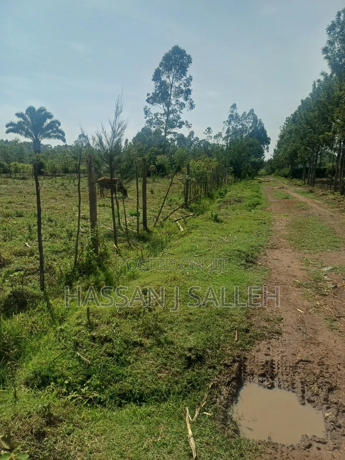 1 Acre Lureko Mumias.