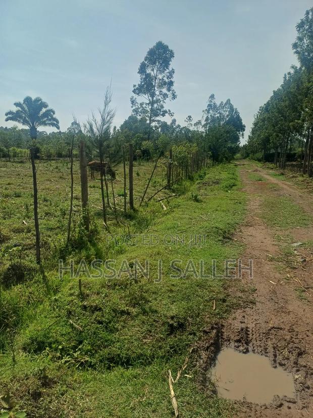 1 Acre Lureko Mumias. - thumbnail 4