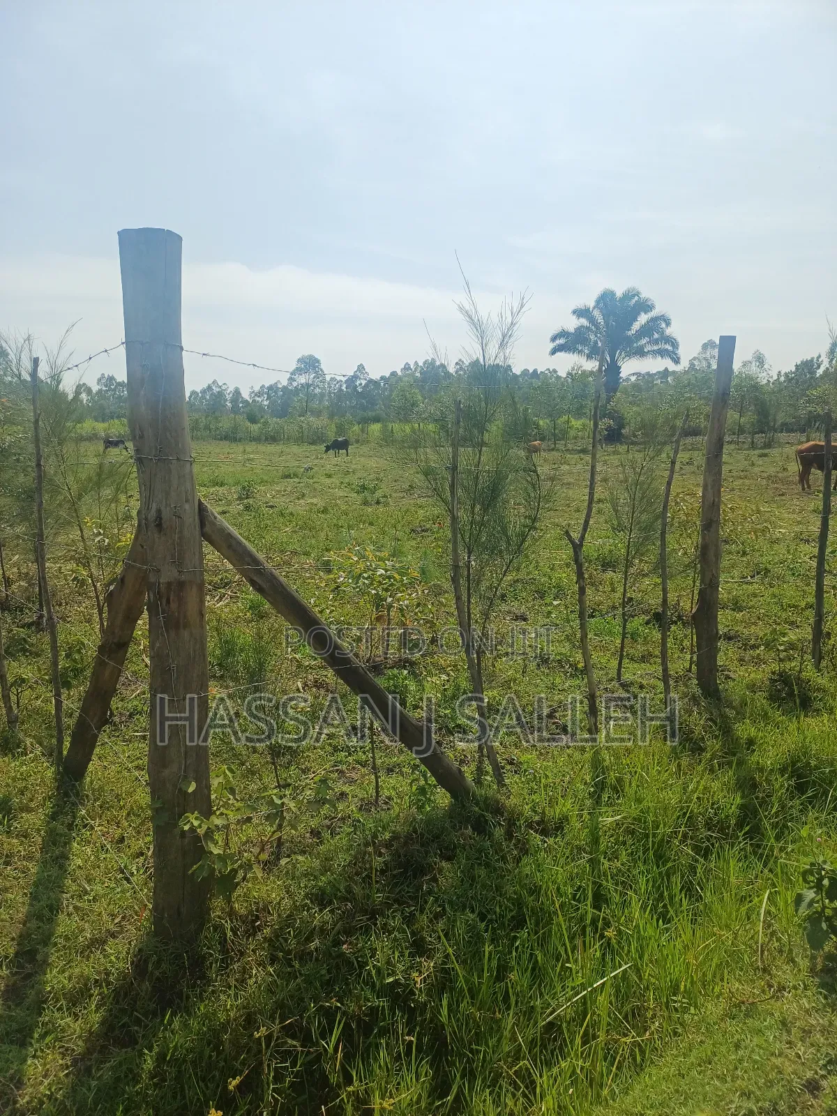 1 Acre Lureko Mumias.