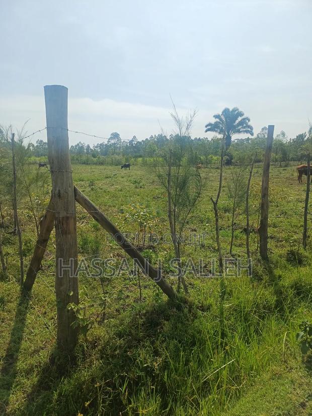 1 Acre Lureko Mumias. - thumbnail 5
